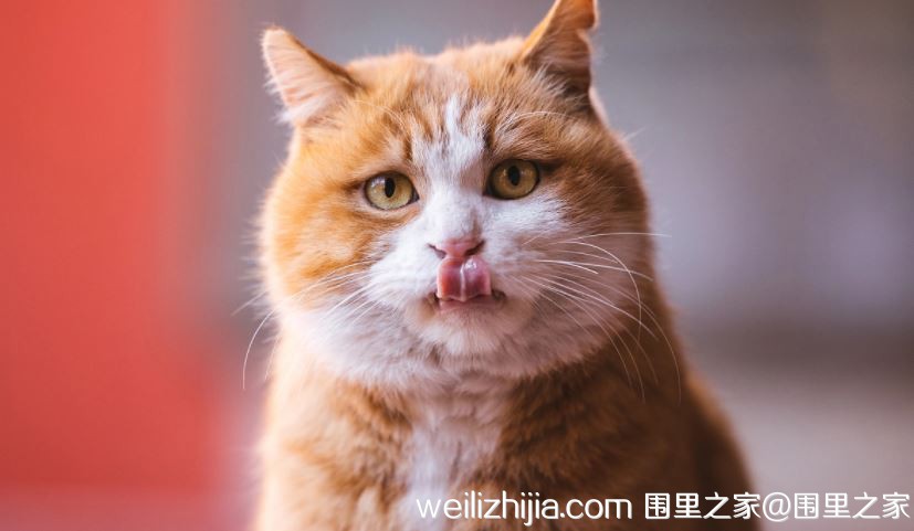 捕获.JPG