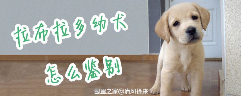 20180917052952753.jpg
